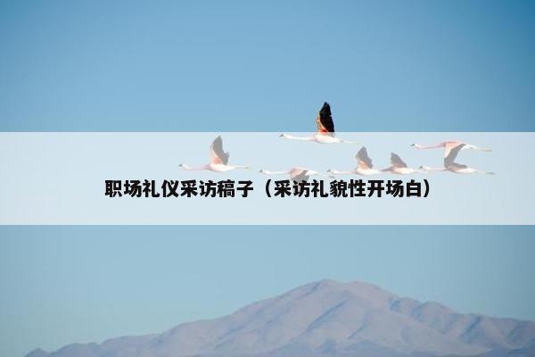 职场礼仪采访稿子（采访礼貌性开场白）