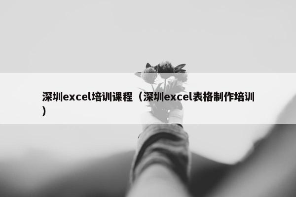 深圳excel培训课程（深圳excel表格制作培训）