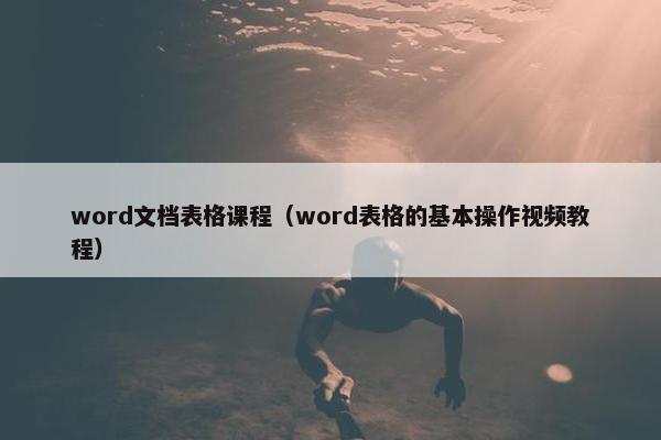 word文档表格课程（word表格的基本操作视频教程）