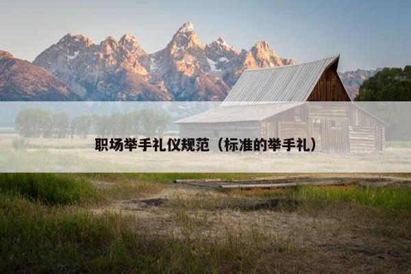 职场举手礼仪规范（标准的举手礼）