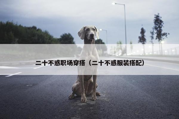 二十不惑职场穿搭（二十不惑服装搭配）