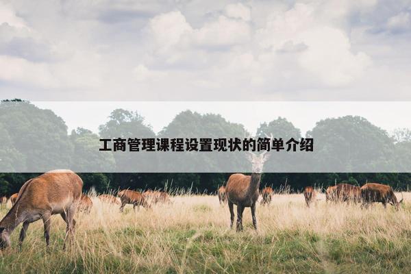 工商管理课程设置现状的简单介绍