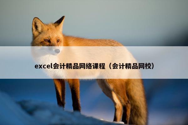 excel会计精品网络课程（会计精品网校）