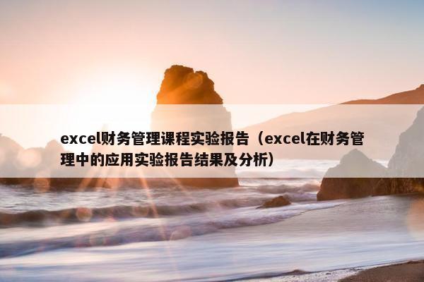 excel财务管理课程实验报告（excel在财务管理中的应用实验报告结果及分析）