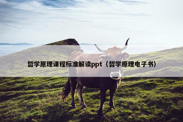 哲学原理课程标准解读ppt（哲学原理电子书）