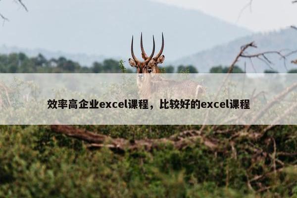 效率高企业excel课程，比较好的excel课程