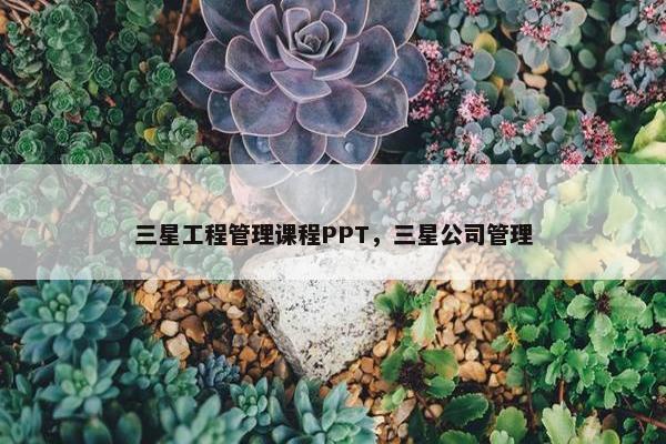 三星工程管理课程PPT，三星公司管理