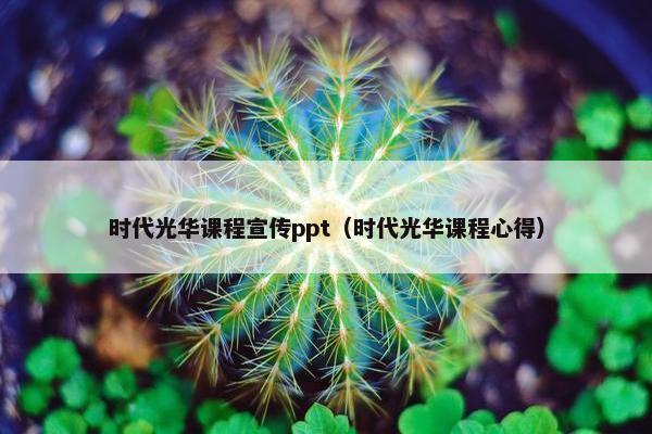 时代光华课程宣传ppt（时代光华课程心得）