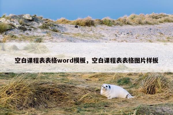 空白课程表表格word模板，空白课程表表格图片样板