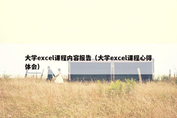 大学excel课程内容报告（大学excel课程心得体会）