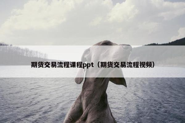 期货交易流程课程ppt（期货交易流程视频）