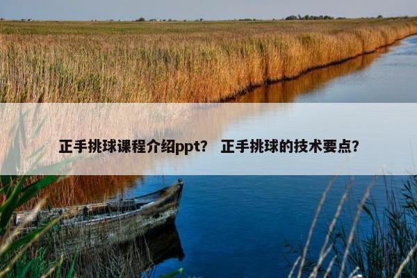 正手挑球课程介绍ppt？ 正手挑球的技术要点？
