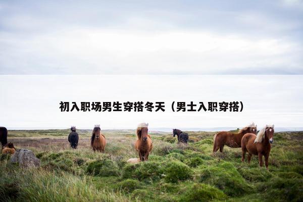 初入职场男生穿搭冬天（男士入职穿搭）