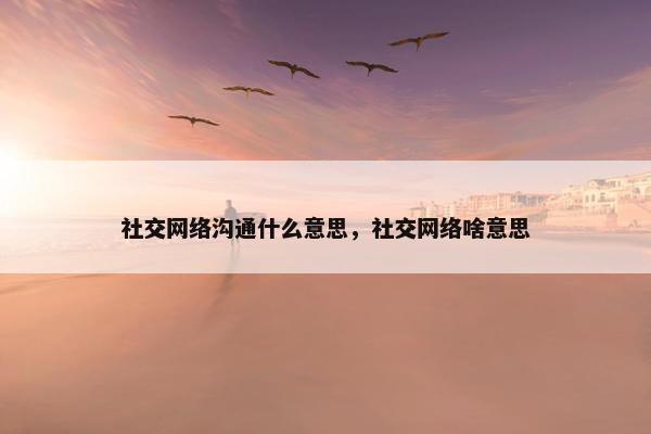 社交网络沟通什么意思，社交网络啥意思
