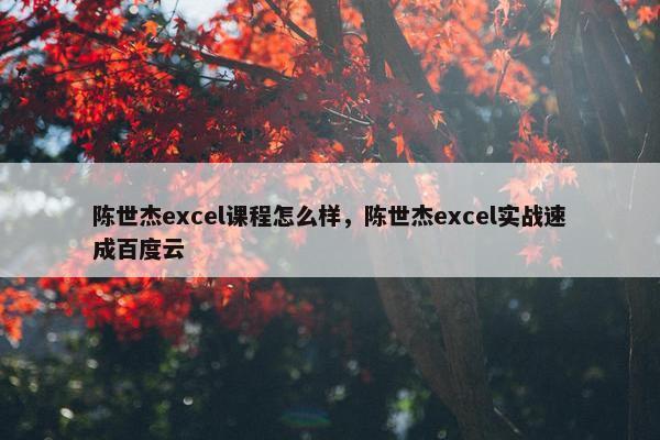 陈世杰excel课程怎么样，陈世杰excel实战速成百度云