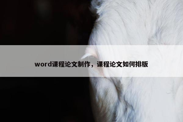 word课程论文制作，课程论文如何排版