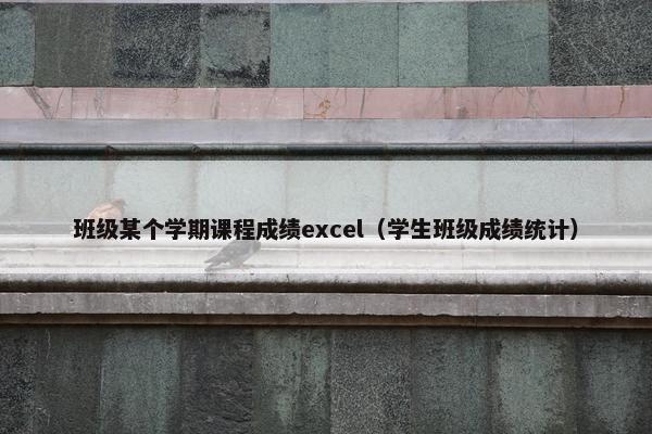 班级某个学期课程成绩excel（学生班级成绩统计）