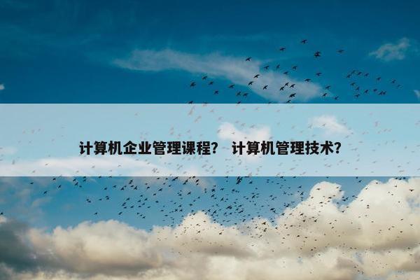 计算机企业管理课程？ 计算机管理技术？