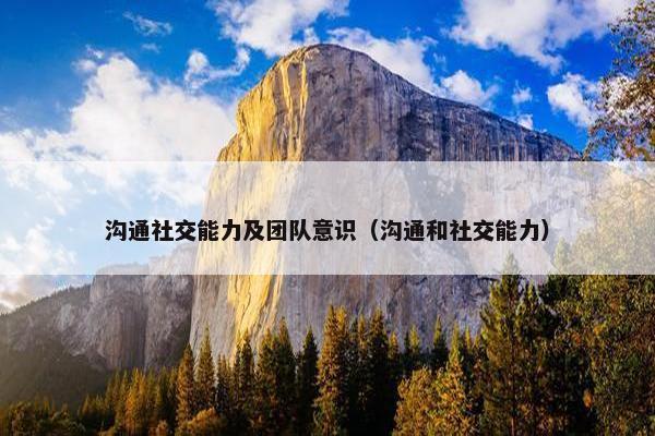 沟通社交能力及团队意识（沟通和社交能力）