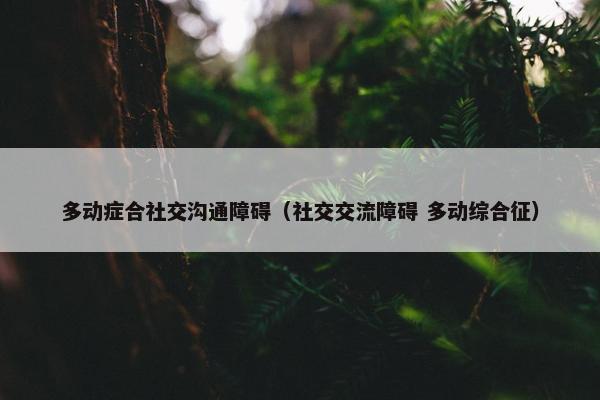 多动症合社交沟通障碍（社交交流障碍 多动综合征）