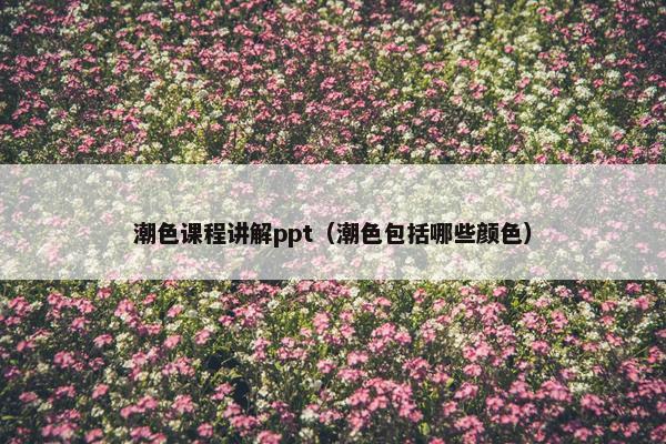 潮色课程讲解ppt（潮色包括哪些颜色）