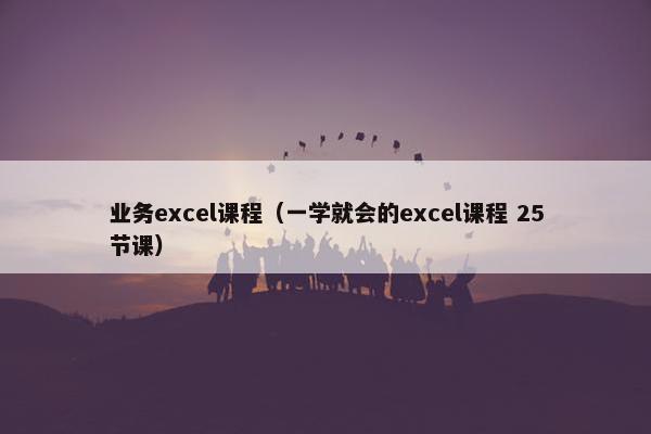 业务excel课程（一学就会的excel课程 25节课）