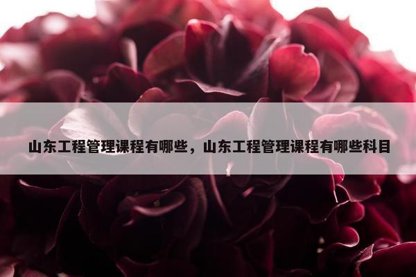 山东工程管理课程有哪些，山东工程管理课程有哪些科目