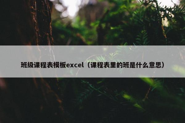 班级课程表模板excel（课程表里的班是什么意思）
