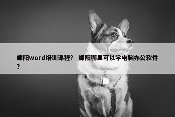 绵阳word培训课程？ 绵阳哪里可以学电脑办公软件？