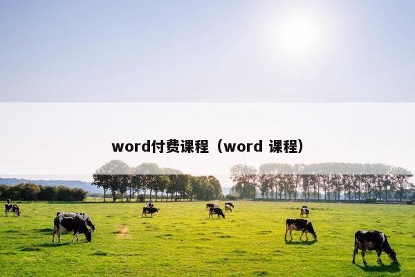 word付费课程（word 课程）