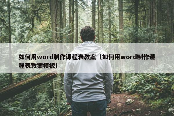 如何用word制作课程表教案（如何用word制作课程表教案模板）