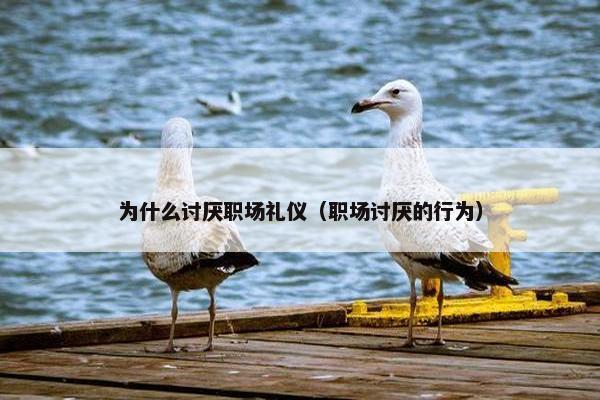 为什么讨厌职场礼仪（职场讨厌的行为）