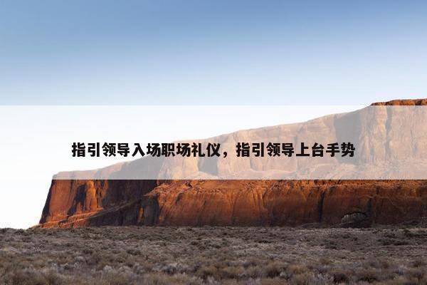 指引领导入场职场礼仪，指引领导上台手势