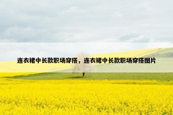 连衣裙中长款职场穿搭，连衣裙中长款职场穿搭图片