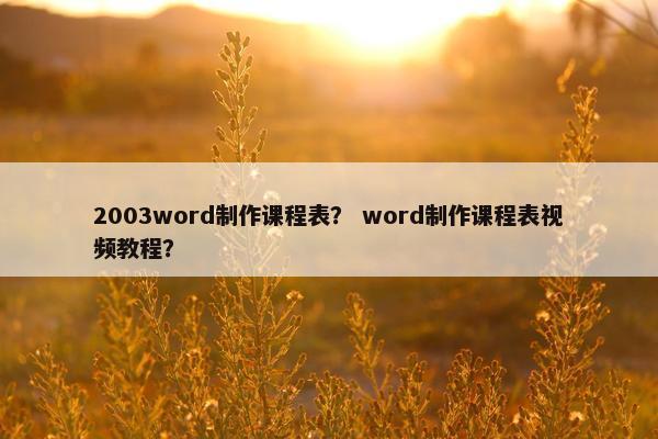 2003word制作课程表？ word制作课程表视频教程？