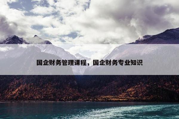 国企财务管理课程，国企财务专业知识