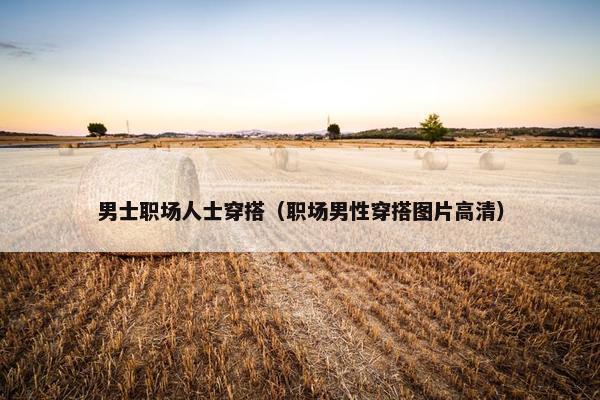男士职场人士穿搭（职场男性穿搭图片高清）