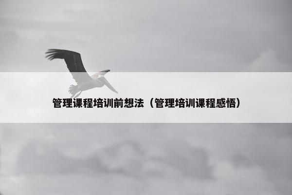 管理课程培训前想法（管理培训课程感悟）