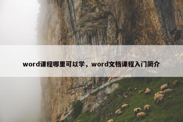 word课程哪里可以学，word文档课程入门简介