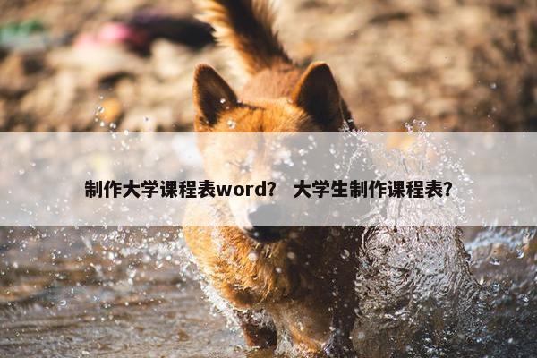 制作大学课程表word？ 大学生制作课程表？