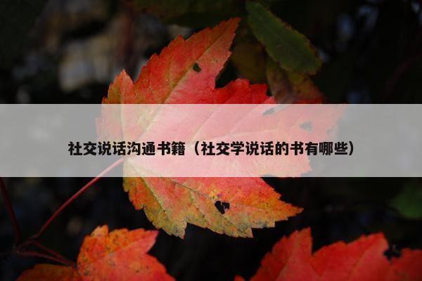 社交说话沟通书籍（社交学说话的书有哪些）