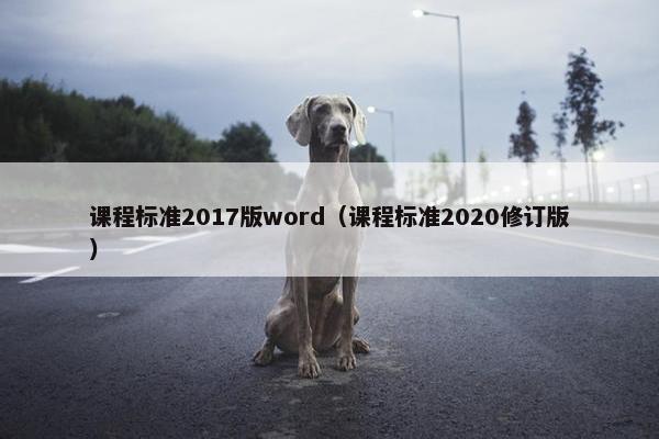 课程标准2017版word（课程标准2020修订版）