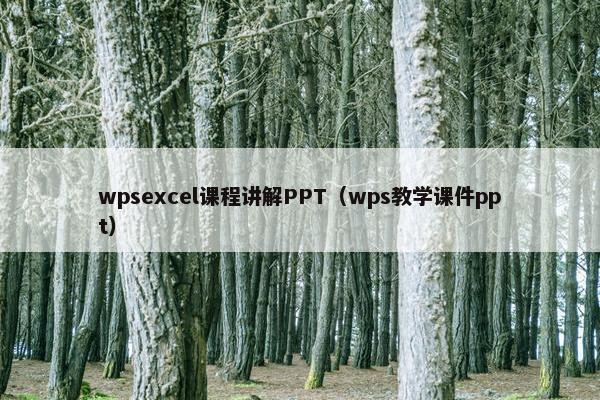 wpsexcel课程讲解PPT（wps教学课件ppt）