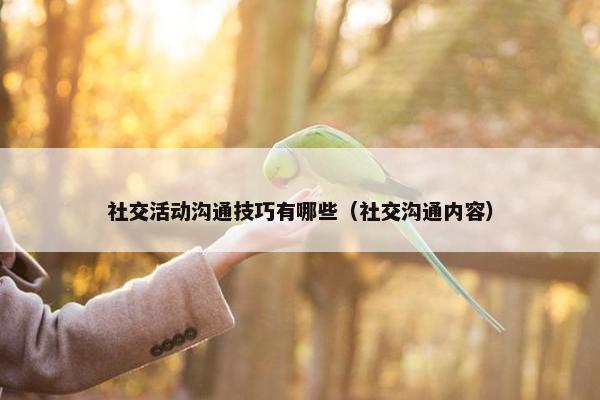 社交活动沟通技巧有哪些（社交沟通内容）