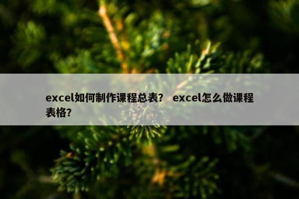 excel如何制作课程总表？ excel怎么做课程表格？