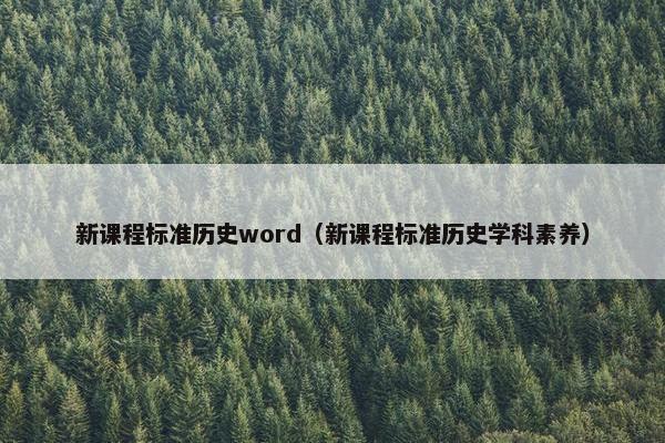 新课程标准历史word（新课程标准历史学科素养）