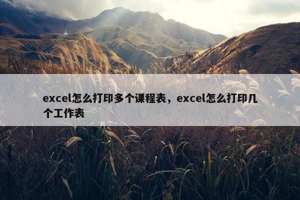 excel怎么打印多个课程表，excel怎么打印几个工作表
