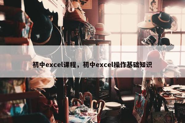 初中excel课程，初中excel操作基础知识