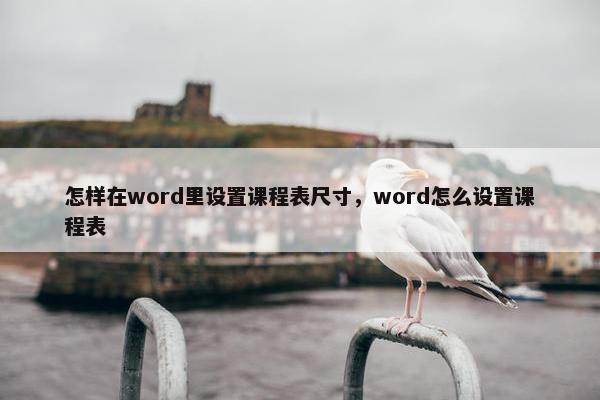 怎样在word里设置课程表尺寸，word怎么设置课程表