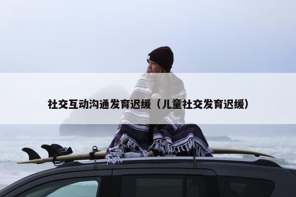 社交互动沟通发育迟缓（儿童社交发育迟缓）